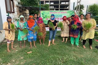 anukriti-gusain-ropes-in-the-fields-with-her-mother-in-law