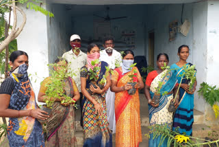 plants distribution in medak distrot