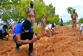 SP Armed forces plants tress in Miyawaki method