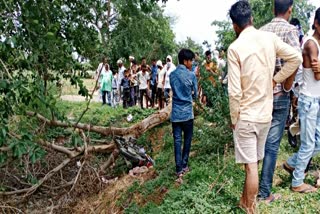 2 died in road accident,  Road accident in Bharatpur