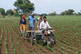 Farmers preparing sowing of kharif crop