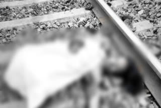 lady hit by goods train and died in vijayanagaram district