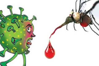 Season of two viruses? Scientists worried that dengue outbreak may aggravate COVID-19 crisis