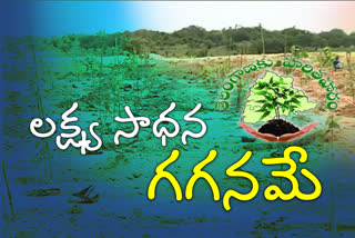 Haritha haram Delay in adilabad district