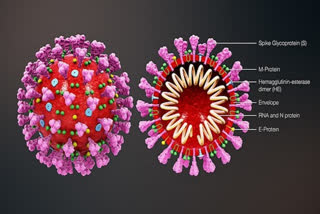 CORONA VIRUS LATEST TALLY IN INDIA