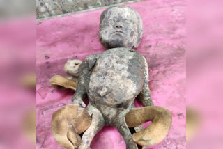 Buldhana doll story