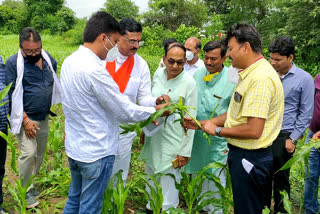 Agriculture Minister reached maize farm