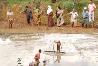 Warappetty panchayat  വാരപ്പെട്ടി  എറണാകുളം  സുഭിക്ഷ കേരളം  വാരപ്പെട്ടി പഞ്ചായത്ത്