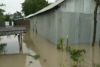 Danger Flood At Bongaigaon district