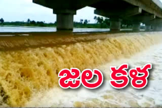 heavy-flow-to-khammam-munneru-river