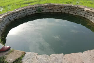 brother and sister died due to drowning in well in balod