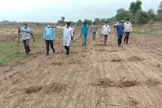 Trees will be planted on the banks of Saraswati river