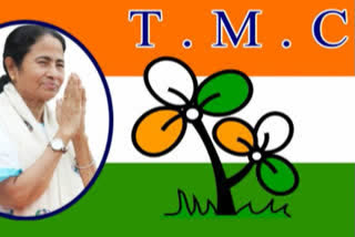 tmc two leader verbal fight over suspension of party leaders