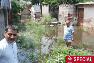 Smelly water of drain filled in colony of government doctors of Muradnagar due to rain