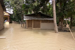 assam flood