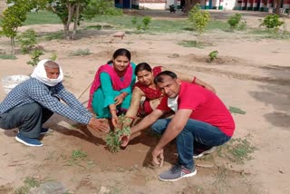 पौधरोपण कार्यक्रम, Plantation program