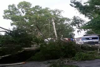 heavy rain and strong storm come in karnal