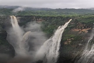 Onset of monsoon revives Jog falls beauty