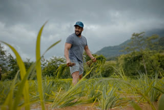 Actor Salman Khan busy to planting in rice at palghar farmhouse