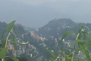 shimla