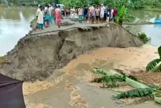 বঙাইগাঁও জিলাত বানৰ বিভীষিকা