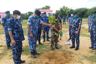 CRPF, Plantation Campaign, जयपुर न्यूज़