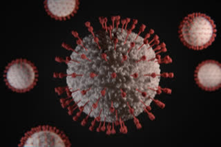 coronavirus