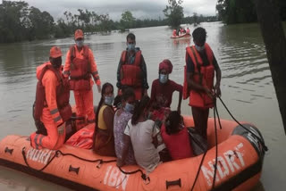 NDRF carry out rescue operation in Assam's flood-affected areas
