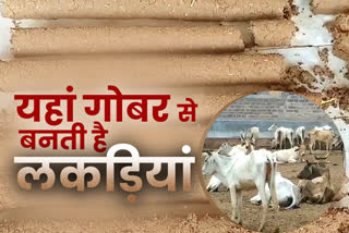 राजस्थान न्यूज, jodhpur news