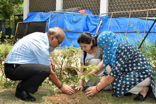 Tree planting program organized on Sankalp festival at Sahitya Academy in Delhi