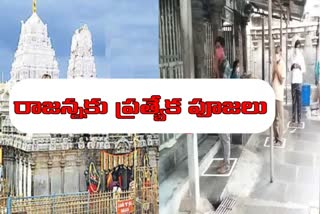 Special devotes in the Rajarajeshwara