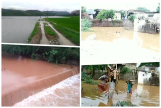 rains in chandragiri constituency