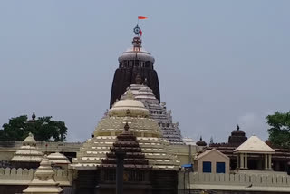 puri sevayat samples test third day