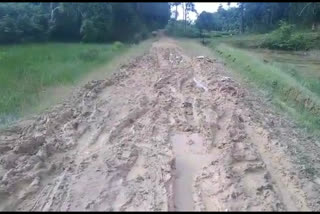 golaghat_road_problem