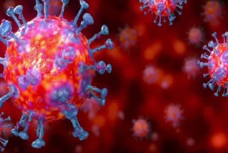 leprosy affected person died with corona virus on sunday in guntur district