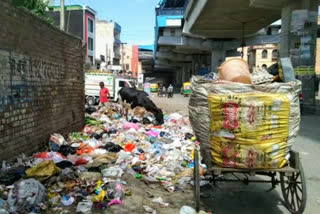 People are facing problem of garbage dump on Najafgarh Road in Uttam Nagar