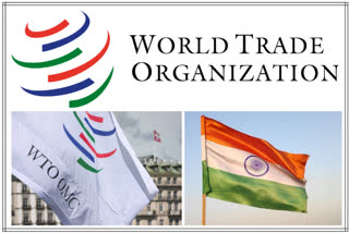 A new Director General for the World Trade Organization: the stakes for India