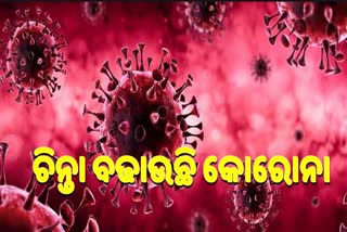 covid cases increase in angul