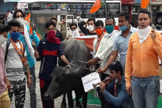BJP Protest in Kota, Demand for Electricity Bill Waive