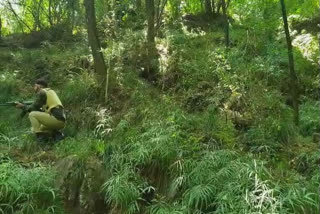 Search operation launched in Poonch forest area