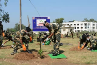 bsf plantation abhiyan updates