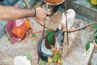 राजस्थान न्यूज  Devotees worshiped Lord Shiv in Jaipur