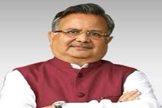 Rajasthan or under the leadership of the entire Hindustan Congress dynasticism has come to dominate: Dr. Raman Singh