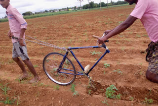 a-young-farmer-used-the-method-of-one-wheel-cycle-to-clean-the-hemp-of-chilli-in-the-farm