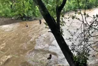 vasai-villagers-rescue-tourists-stranded-in-flood