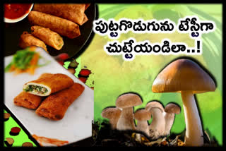 learn-how-to-make-mushroom-rolls-in-a-very-easy-way-dot-dot-dot-recipe-in-telugu