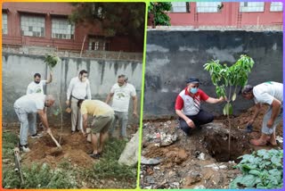 tree plantation by Hari Bhari Society in Nangloi Metro station parking