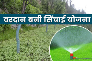 Irrigation scheme proving a boon for Telangi village of Kinnaur