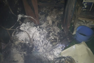 fire in Panchayat ghar bilaspur