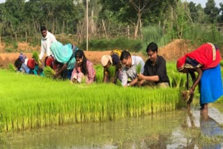 Officers worked with farmers